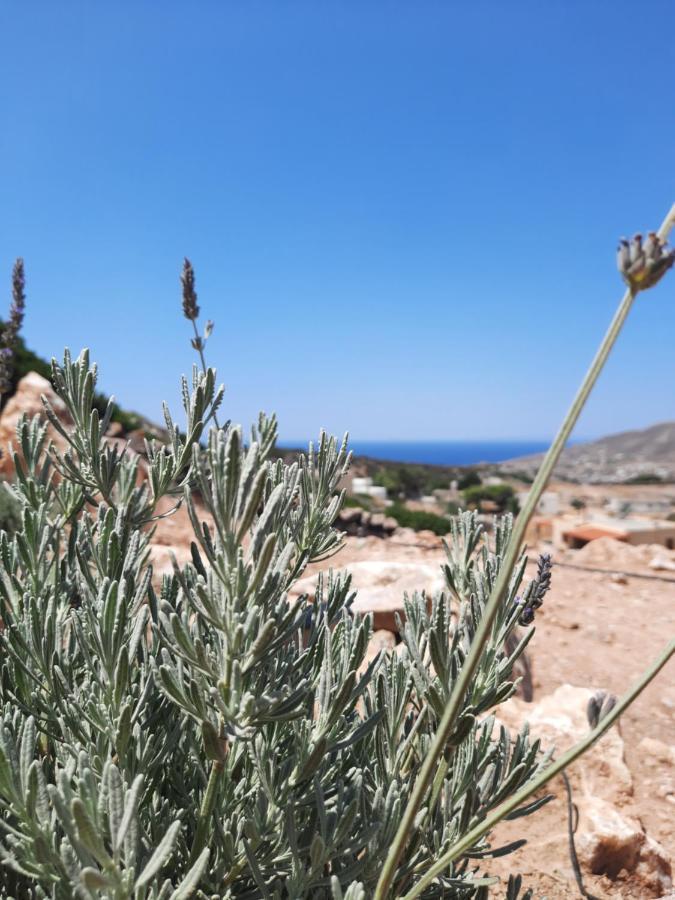 Villa Adeiata Adiata 외부 사진