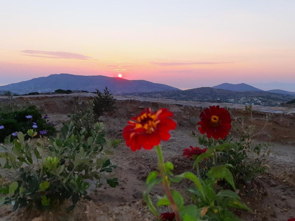 Villa Adeiata Adiata 외부 사진